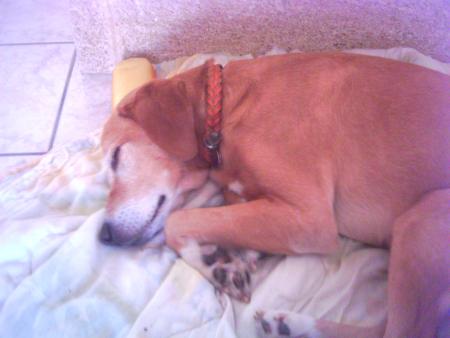 Gros dodo !